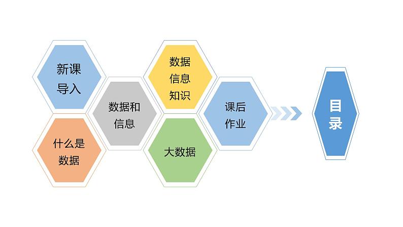 1.1.1项目一第一课时采集鸟类活动的数据 教案 课件 高中信息技术沪教版(2019)必修102