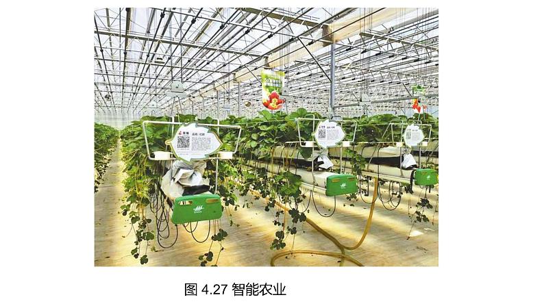 华师大必修1 第4章第3节 人工智能的作用及影响课件PPT第8页
