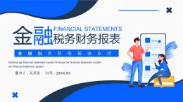 蓝色金融税务财务报表系统介绍PPT