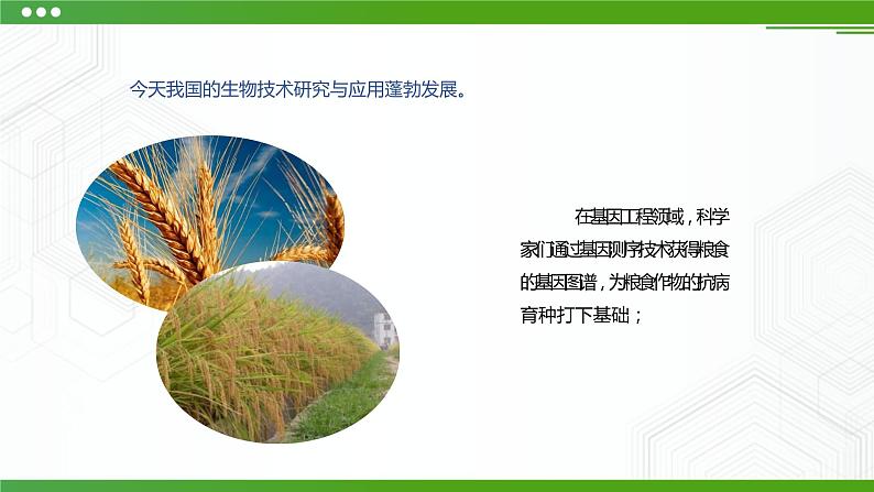 新粤科版通用技术:第二节 认识技术与人、社会、自然的关系 PPT课件+教案06