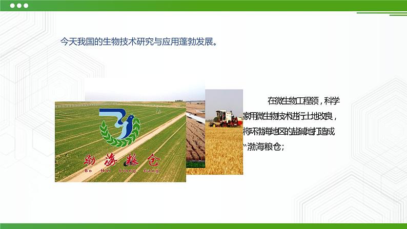 新粤科版通用技术:第二节 认识技术与人、社会、自然的关系 PPT课件+教案07