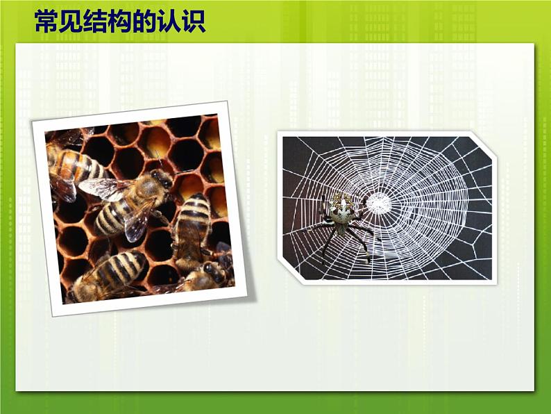 苏教版高中通用技术 必修2 1.1 常见结构的认识(1)(课件)第5页