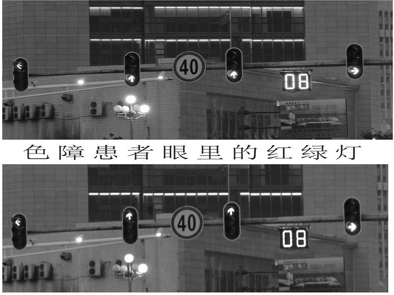 2.2 设计的一般原则 课件-2021-2022学年高一苏教版(2019)通用技术必修《技术与设计1》第7页