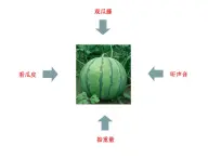 苏教版高中通用技术 必修2 4.3 黑箱方法（课件）