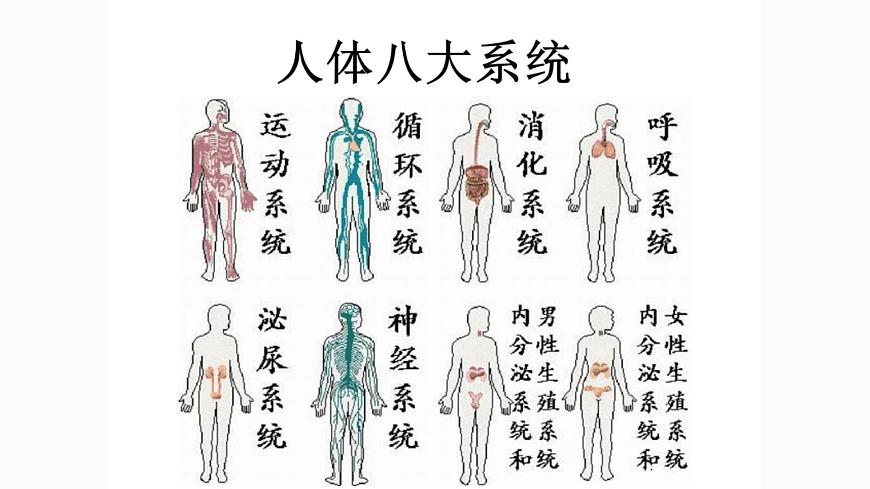 地質(zhì)版（2019）必修《設(shè)計與技術(shù)2》同步課件第二節(jié)系統(tǒng)分析案例第5頁
