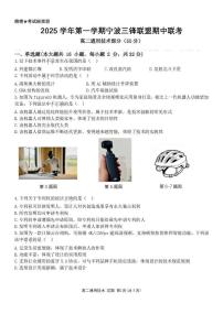 浙江省宁波三锋联盟2025-2026学年高二上学期11月期中考试通用技术试卷（含答案）