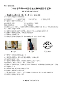 浙江省宁波三锋联盟2025-2026学年高二上学期11月期中考试通用技术试卷（含答案）