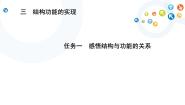 通用技术必修《技术与设计2》任务一 感悟结构与功能的关系图片ppt课件