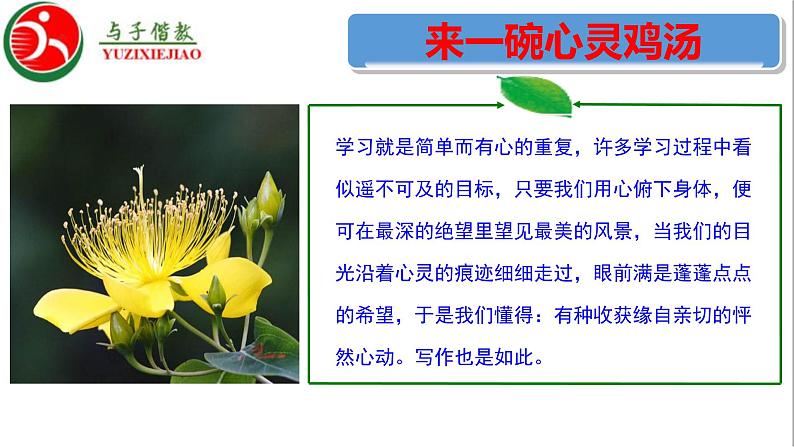 高中语文人教统编版 必修下册 第二单元 单元学习任务:如何阐述自己的观点(教学课件)第2页