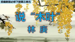 高中语文人教统编版 必修下册 第三单元9 《说“木叶”》（教学课件）