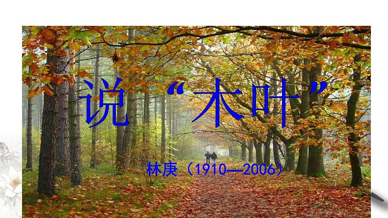 高中语文人教统编版必修下册 3.9 《说“木叶”》课件(1)(共42张PPT)第3页