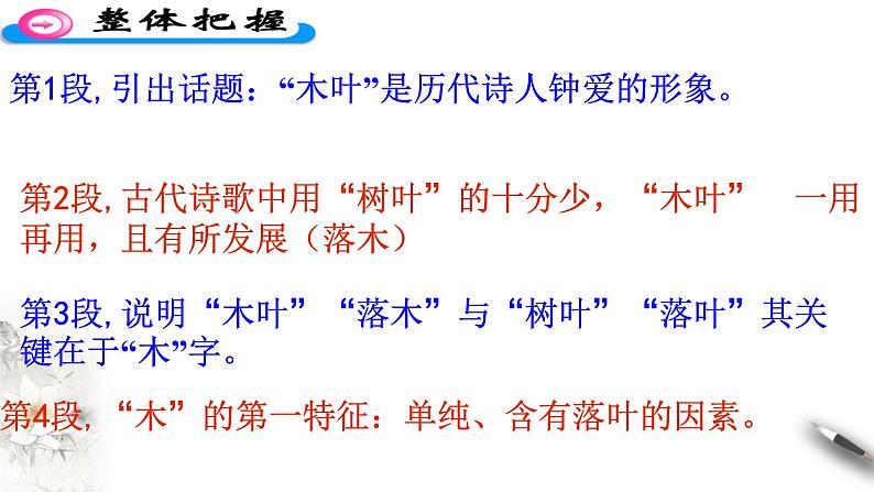 高中语文人教统编版必修下册 3.9 《说“木叶”》课件(1)(共42张PPT)第5页