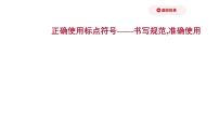 2021-2022学年人教版语文高中专题复习之正确使用标点符号——书写规范,准确使用课件PPT