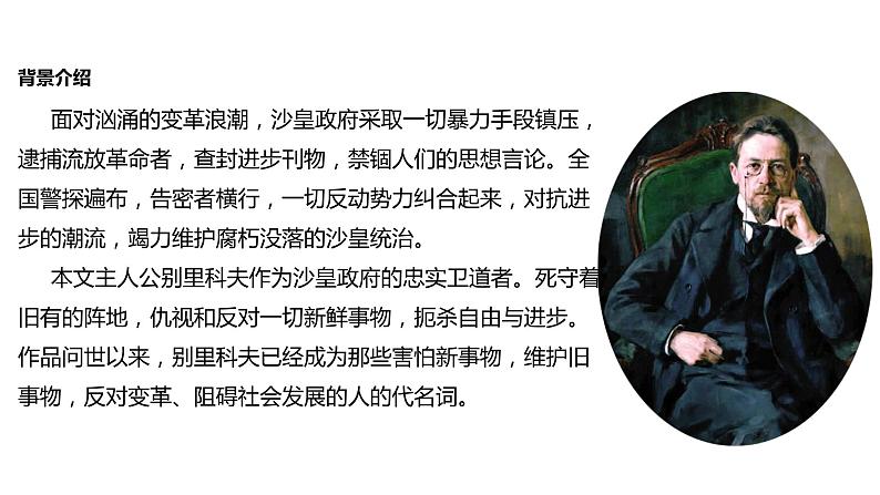 2021-2022学年人教版必修5《装在套子里的人》教学课件(18张)05