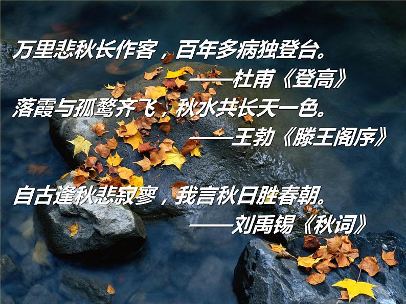 2021-2022学年统编版高中语文必修上册《故都的秋》课件(17张)第2页