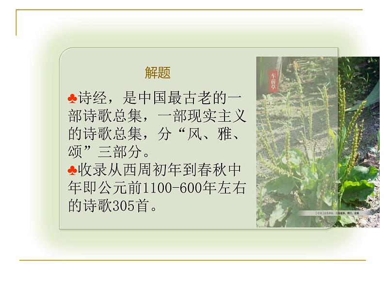 2020-2021学年高中语文部编版必修上册 芣苢 文氏外孙入村收麦 课件(28张)(全国版)第5页