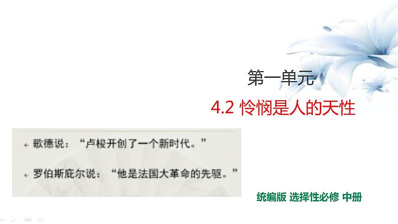 2021届部编版高中语文选择性必修中册4.2 怜悯是人的天性 课件 (共25张PPT)第1页