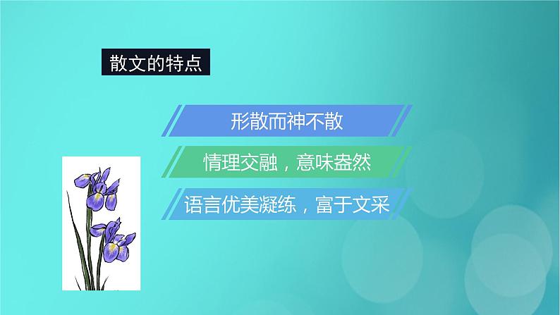 2020-2021学年 高中语文 二轮复习 第1部分现代文阅读专题2文学类文本阅读散文阅读课件 (山东版)05