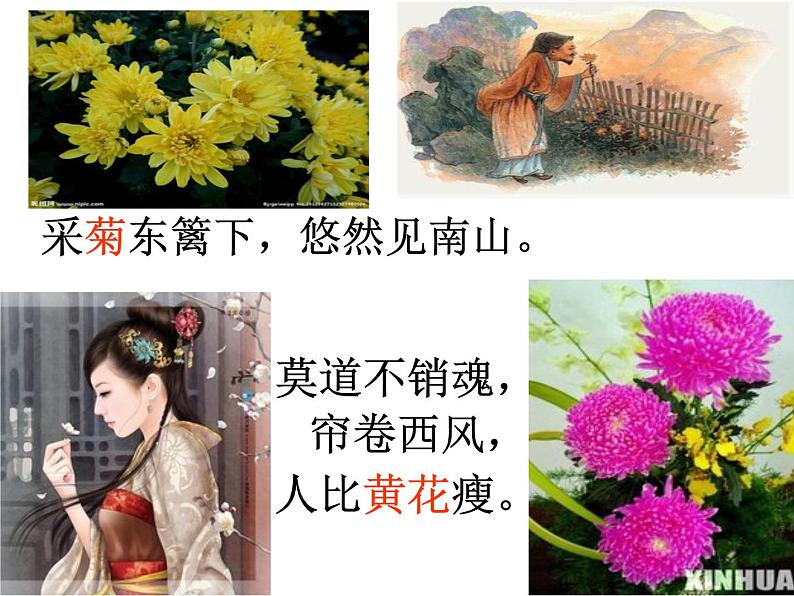 2020-2021学年 高中语文 二轮复习诗歌比较鉴赏课件(18张)第2页