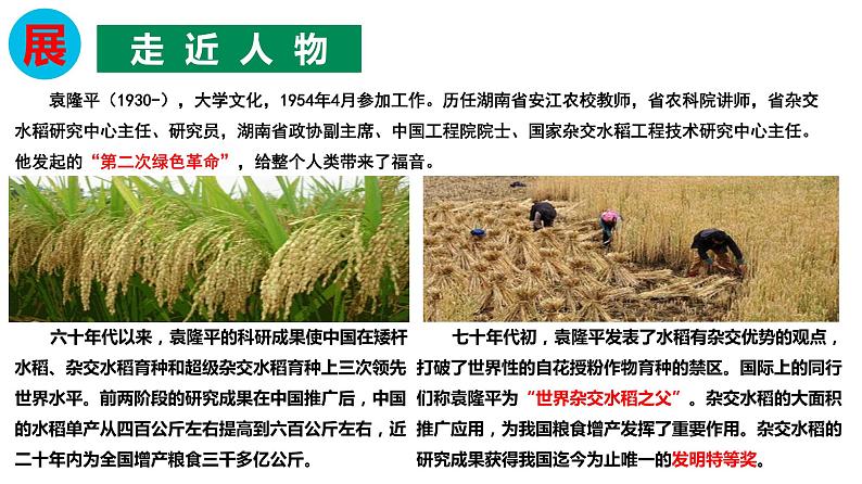 2020-2021学年高中语文部编版必修上册第二单元《喜看稻菽千重浪》《心有一团火,温暖众人心》《探界者钟扬》群文教学 课件(24张)(全国版)第4页