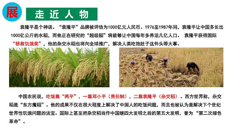 2020-2021学年高中语文部编版必修上册第二单元《喜看稻菽千重浪》《心有一团火,温暖众人心》《探界者钟扬》群文教学 课件(24张)(全国版)第5页
