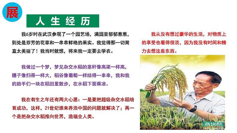 2020-2021学年高中语文部编版必修上册第二单元《喜看稻菽千重浪》《心有一团火,温暖众人心》《探界者钟扬》群文教学 课件(24张)(全国版)第7页