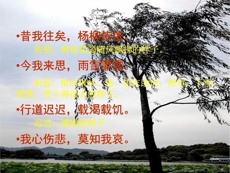 北师大版高中语文必修二 1.小雅·采薇._课件第6页