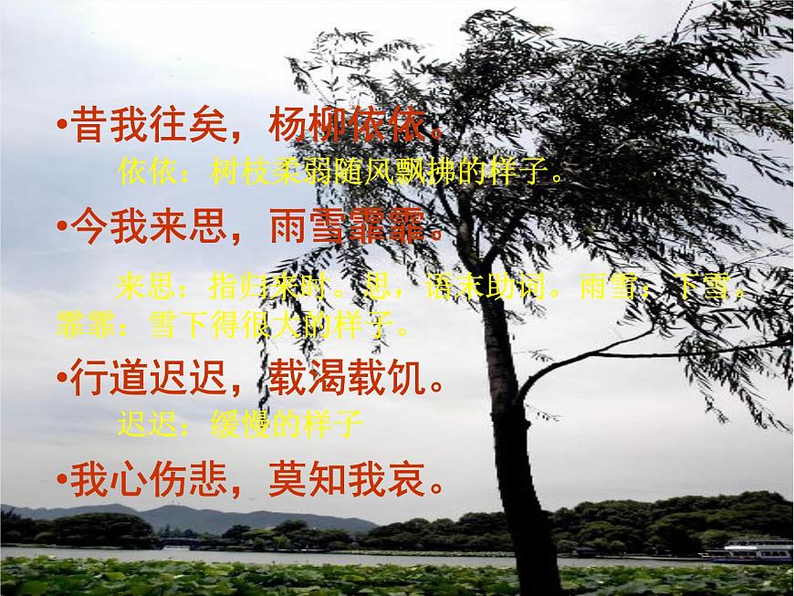 北師大版高中語文必修二 1.小雅·采薇._課件第6頁