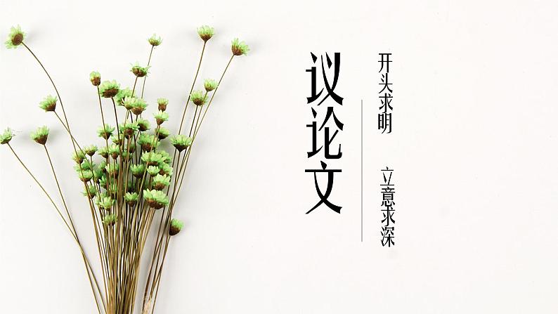 议论文的开头与立意课件PPT01