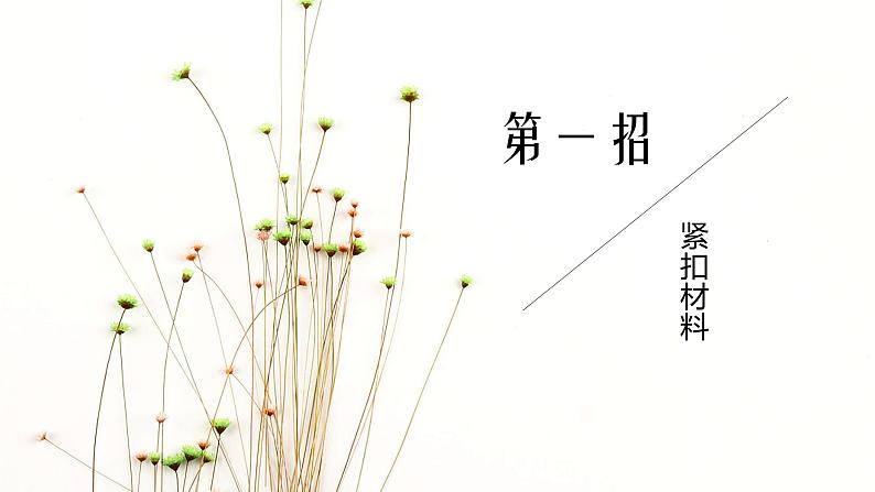 议论文的开头与立意课件PPT07