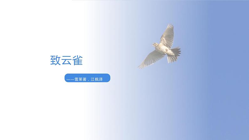 致云雀课件PPT第1页