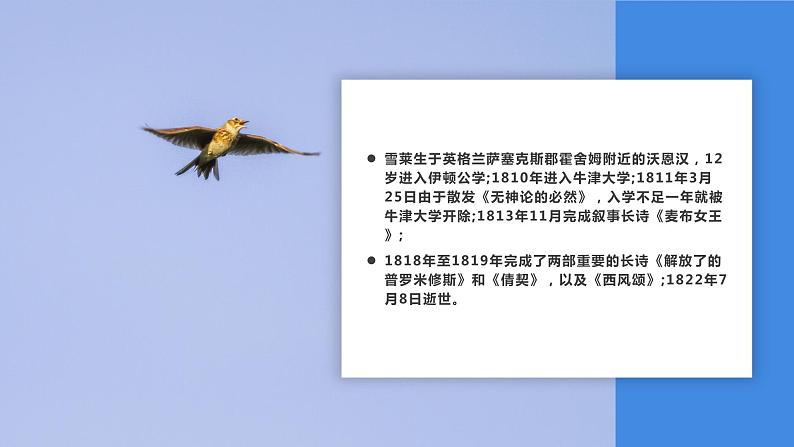 致云雀课件PPT第5页