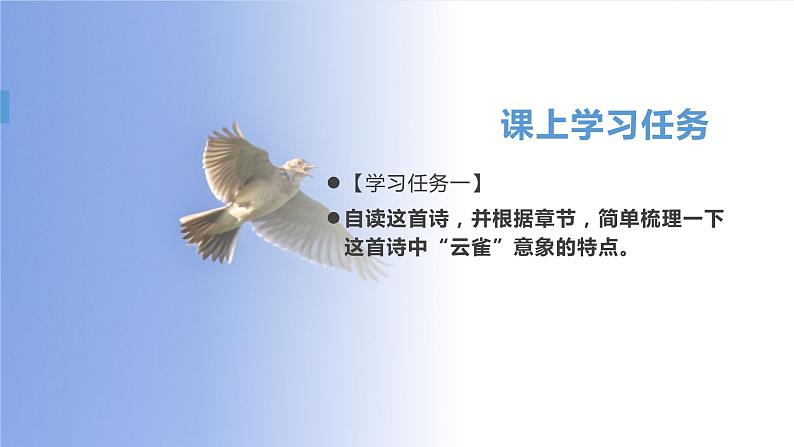 致云雀课件PPT第8页