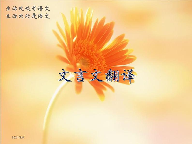 2020-2021学年高中语文 二轮复习 《文言文翻译》课件 (31张PPT)01