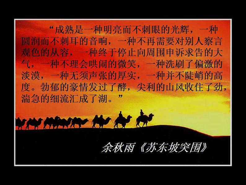 统编版高中语文必修上册精品课件:16.1《 赤壁赋》3第1页