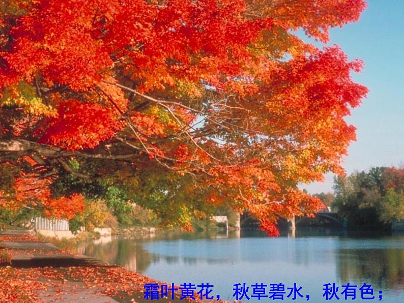 人教版高中语文必修二2《故都的秋》课件(40张PPT)第一单元02
