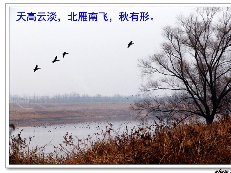 人教版高中语文必修二2《故都的秋》课件(40张PPT)第一单元06