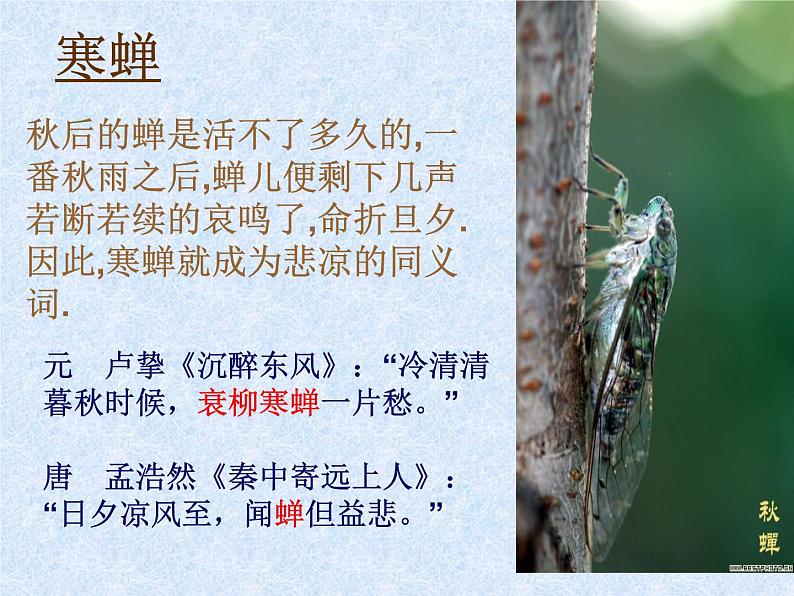 人教版高一语文必修4第二单元《雨霖铃》公开课课件(共18张PPT)07