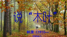 高中语文人教版 (新课标)必修五9 说“木叶”背景图课件ppt
