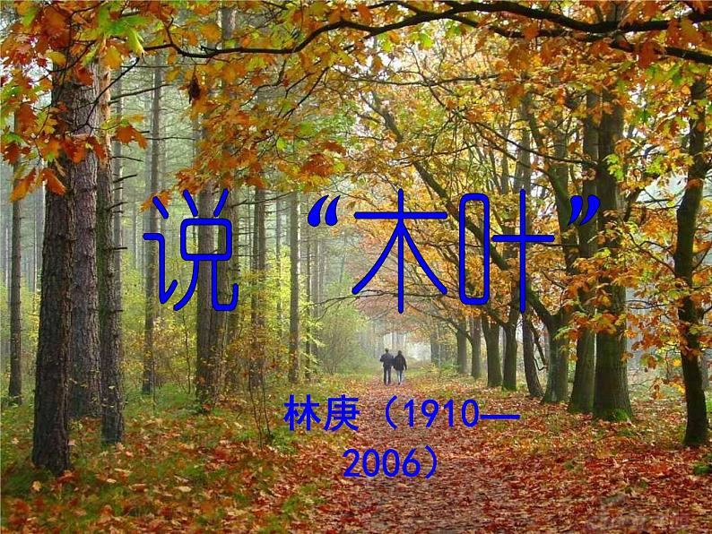 人教高中语文必修五3.9《说木叶》课件(44张ppt)01
