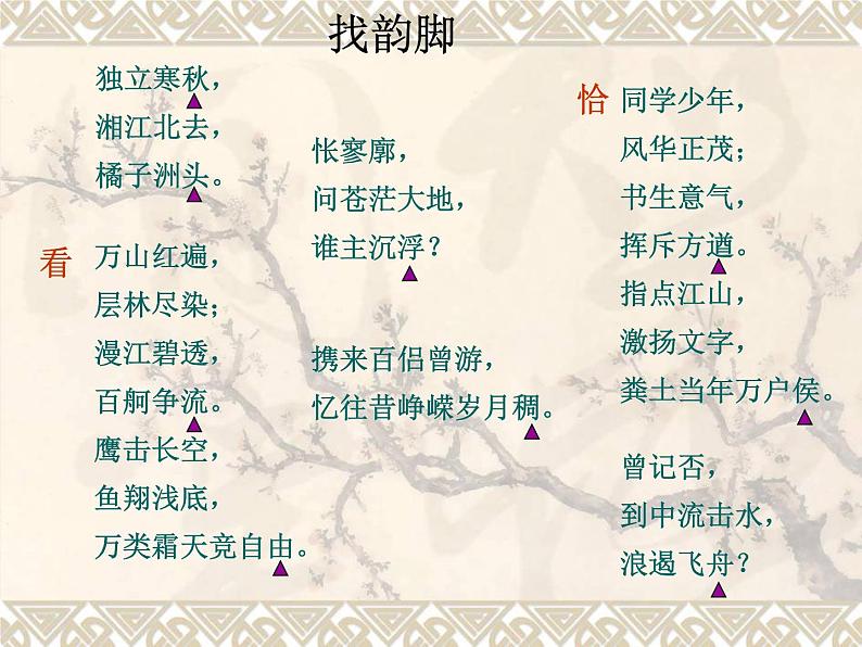 统编版高中语文必修上册 第一单元《沁园春·长沙》 课件(32张PPT)07