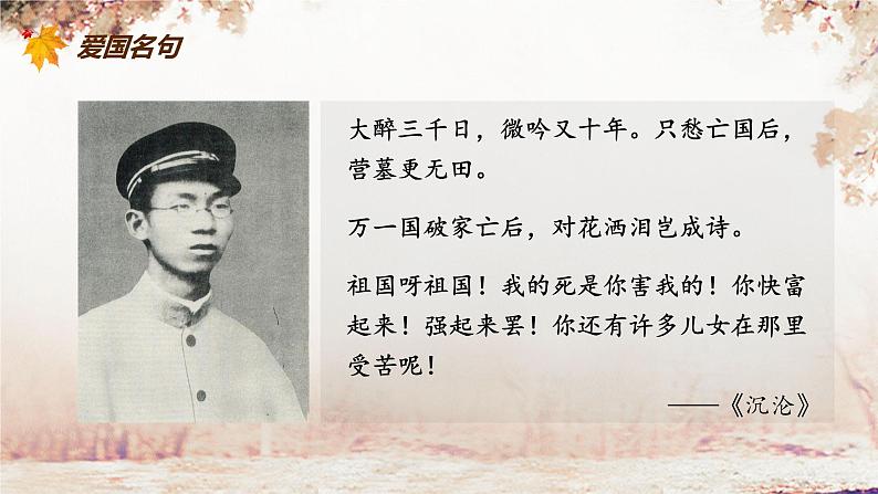 部编版高中语文必修上册第七单元14《故都的秋》 课件第7页