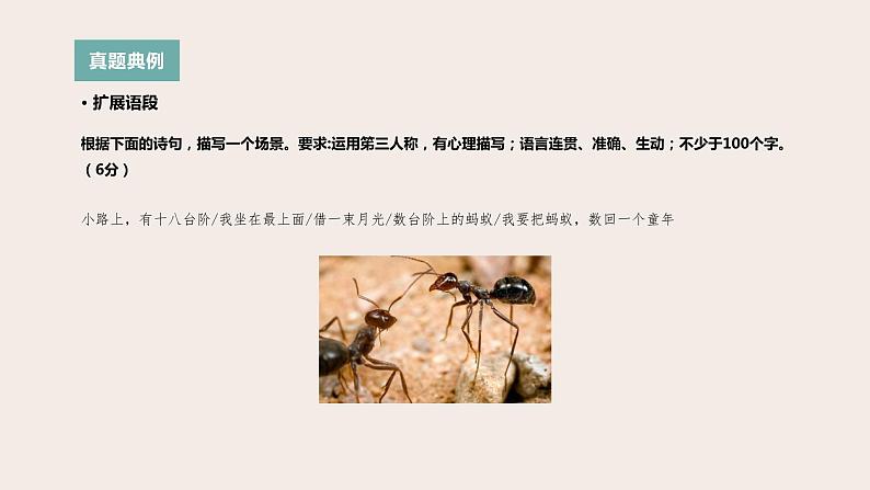 高考语文第一轮总复习课件第7课:扩展语段、压缩语段第2页