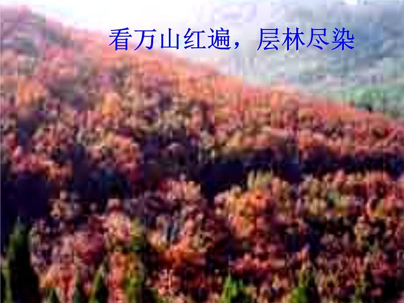 语文:1.1《沁园春 长沙》课件 (新人教版版必修1)第5页