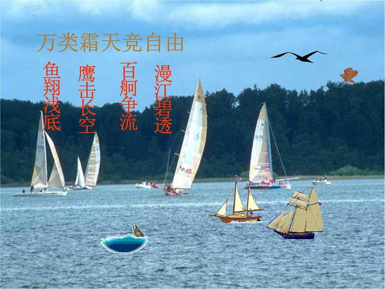 语文:1.1《沁园春 长沙》课件 (新人教版版必修1)第6页