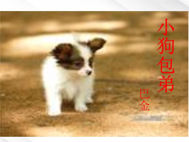 语文:3.8《小狗包弟》优秀教学课件(新人教版必修一)08