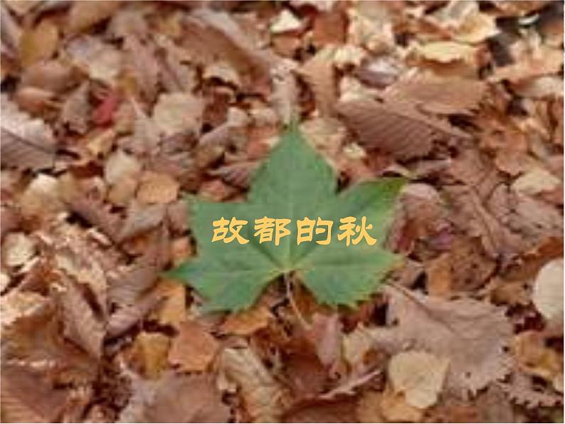 【年暑假礼包】高一语文精品课件:1.2《故都的秋》3(新人教版必修2)第1页
