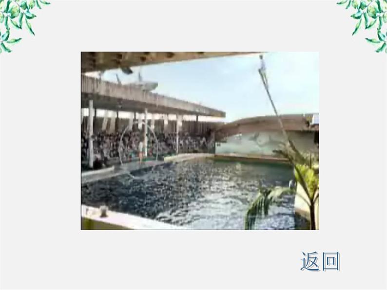 语文:4.12《动物游戏之谜》课件(新人教版必修3)103