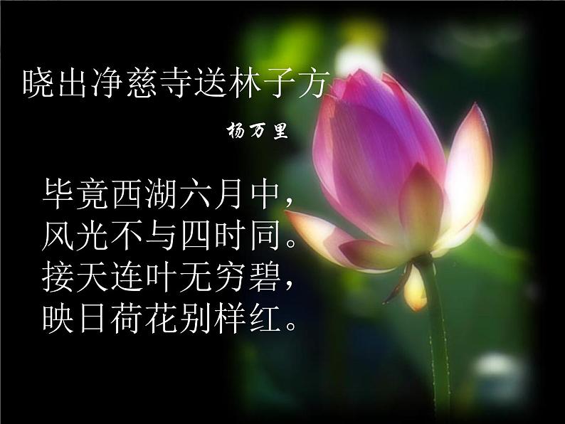 语文:2.4.1《柳永词两首-望海潮》课件(新人教版必修4)07