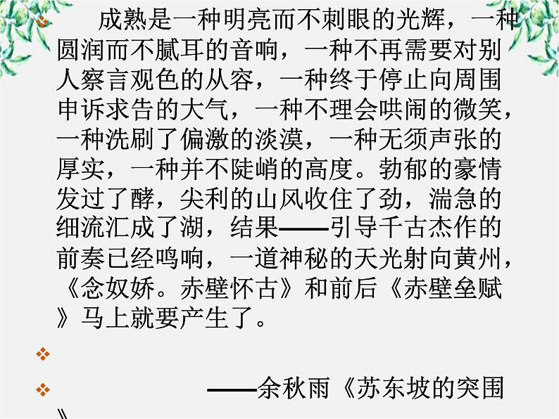 语文:2.5《苏轼词两首-念奴娇·赤壁怀古》课件(新人教版必修4)06
